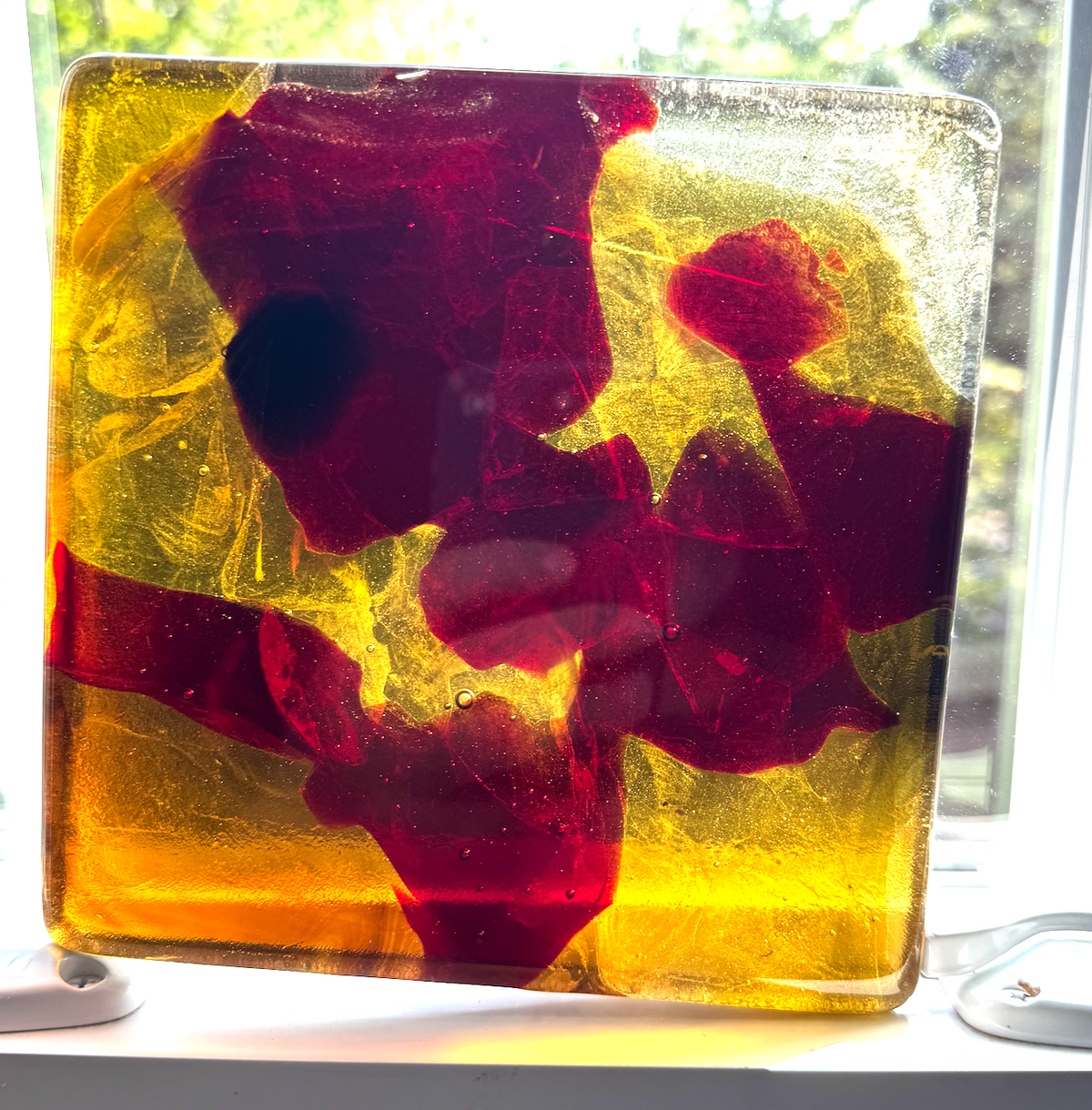 6 x 6 x 1/2 Inch Tile - Transparent Honey / Red in Clear
