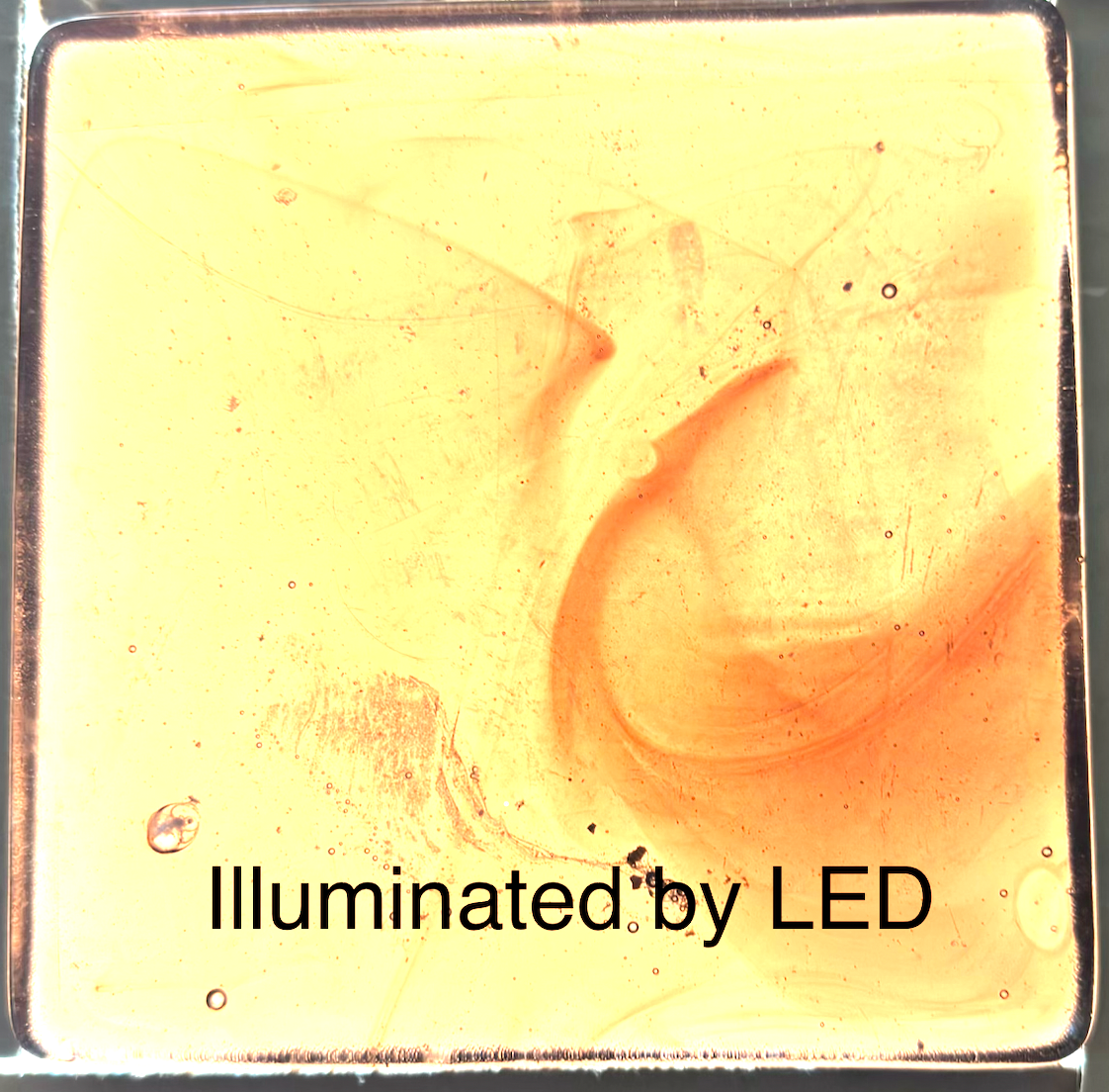 6 x 6 x 1/2 Inch Tile - Medium to Dark Coral