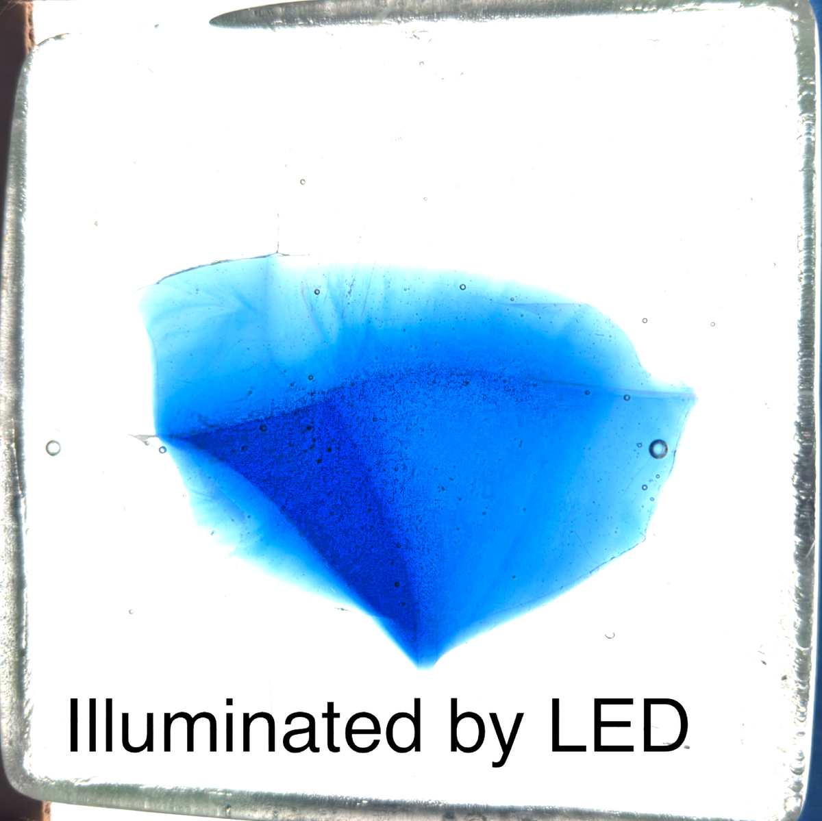 6 x 6 x 1/2 Inch Tile - Clear with Medium Blue Center