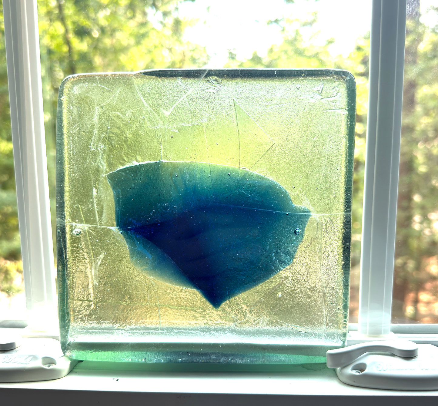 6 x 6 x 1/2 Inch Tile - Clear with Medium Blue Center