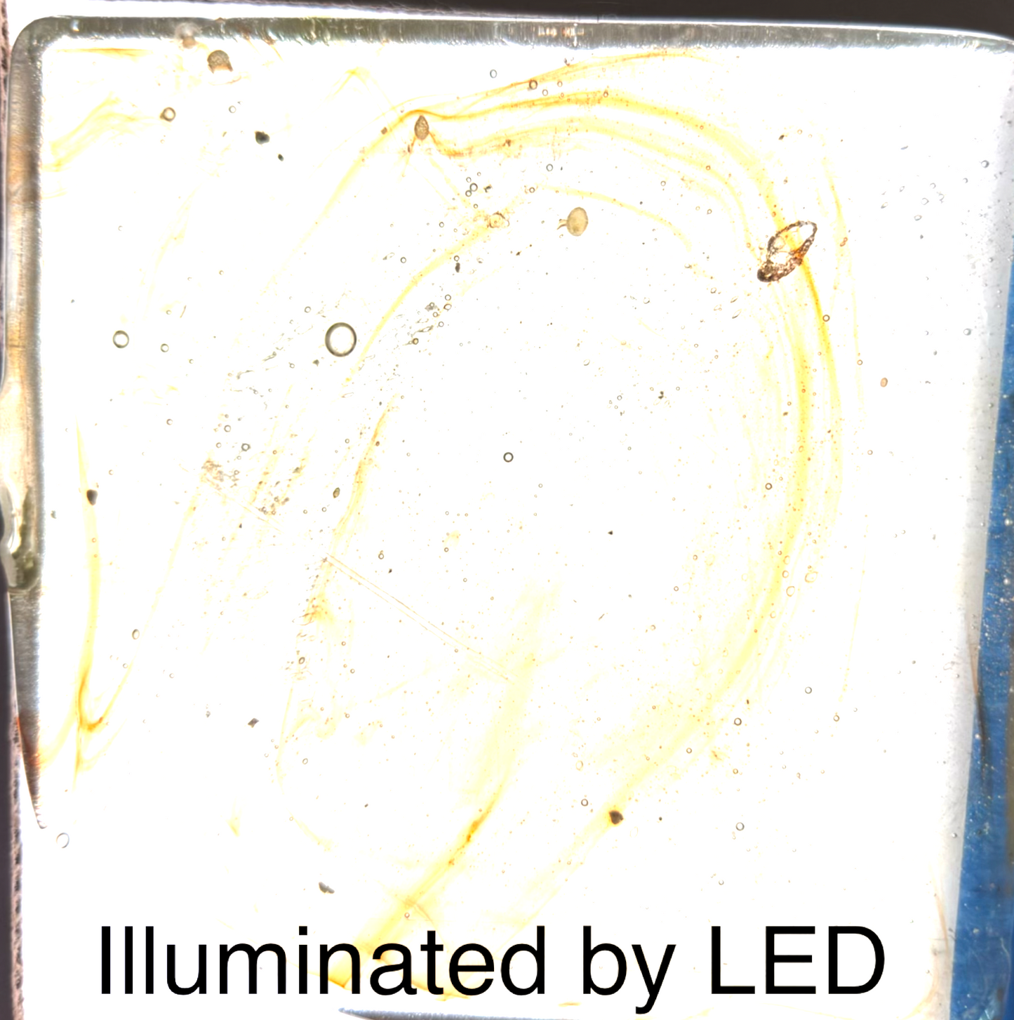 6 x 6 x 1/2 Inch Tile - Clear with Orange Wisps