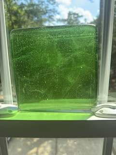 6 x 6 x 1/2 Inch Tile - Light Pastel Green