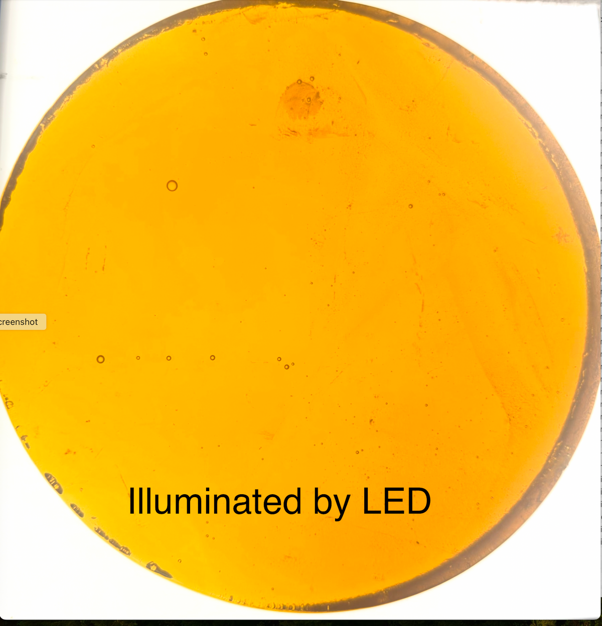 8 x 1/2 Inch Circle / Round - Golden Amber