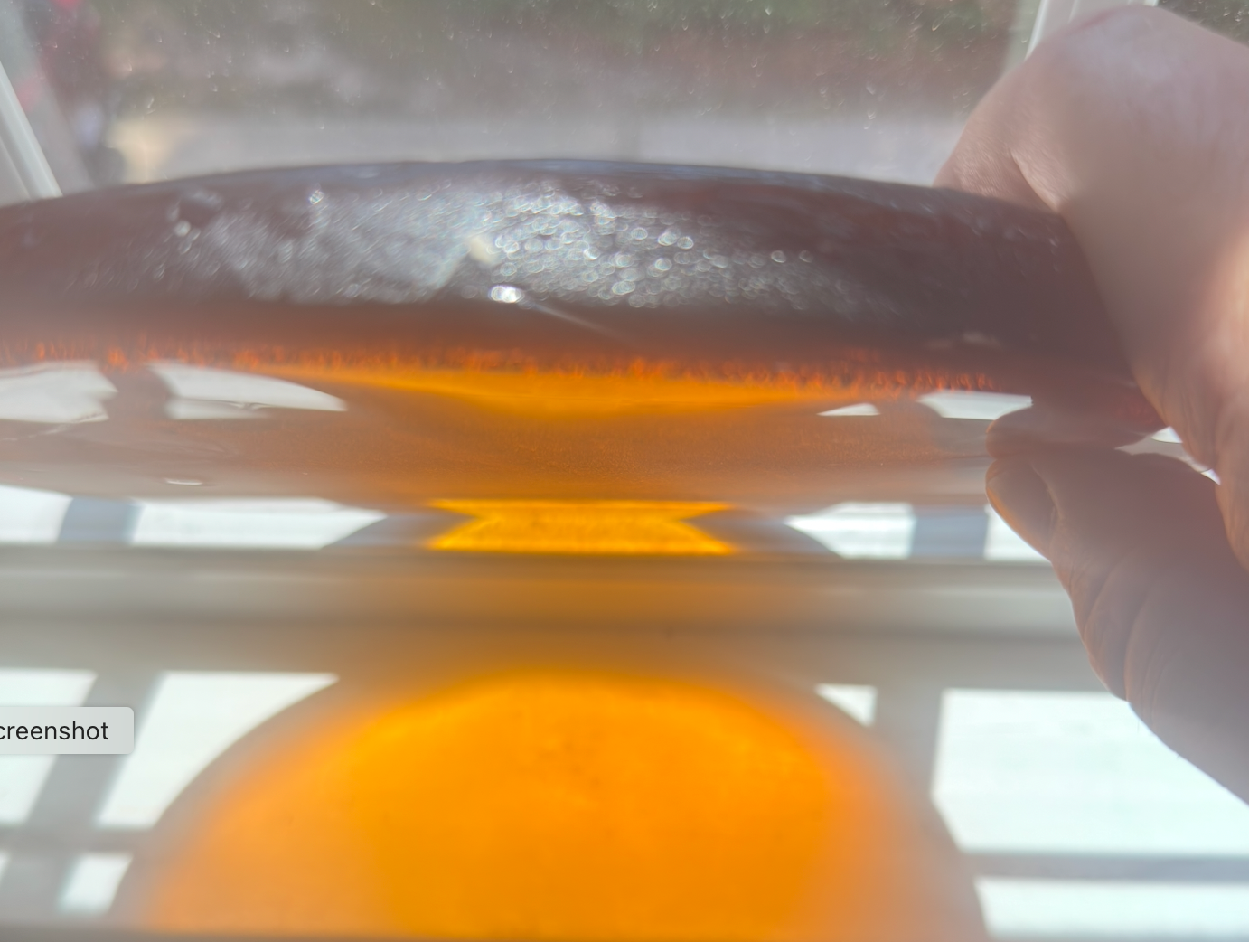 8 x 1/2 Inch Circle / Round - Golden Amber