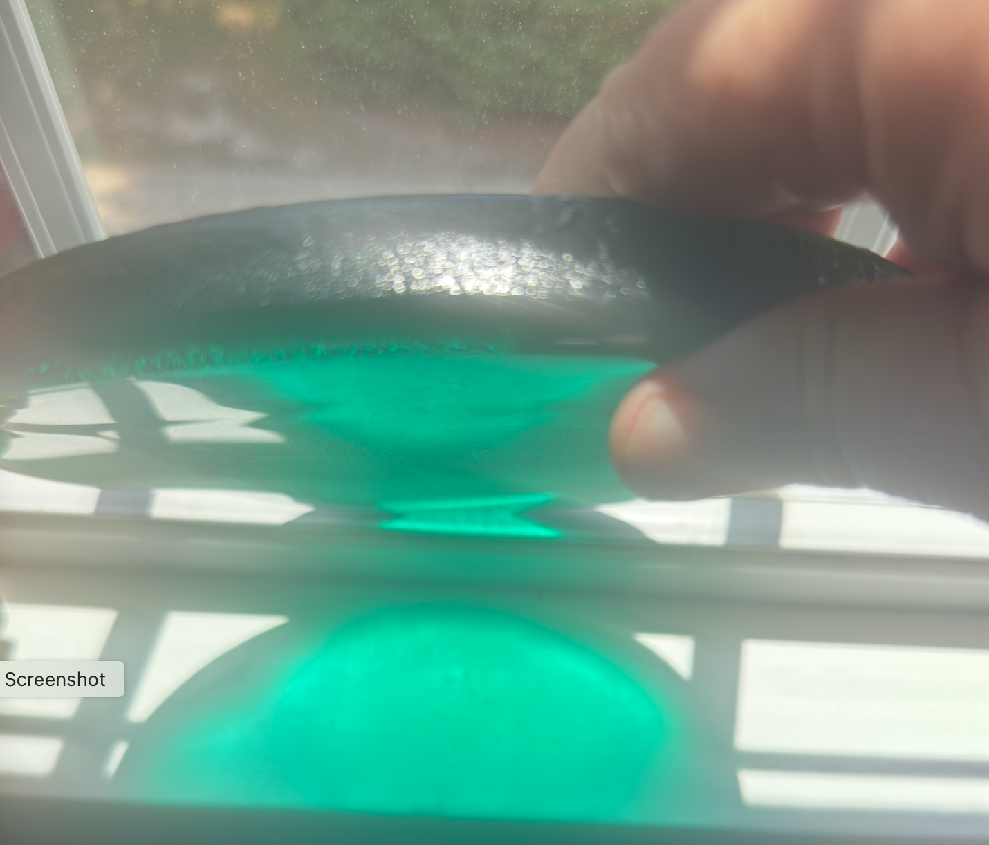 8 x 1/2 Inch Circle / Round - Persian Green (Teal Family)