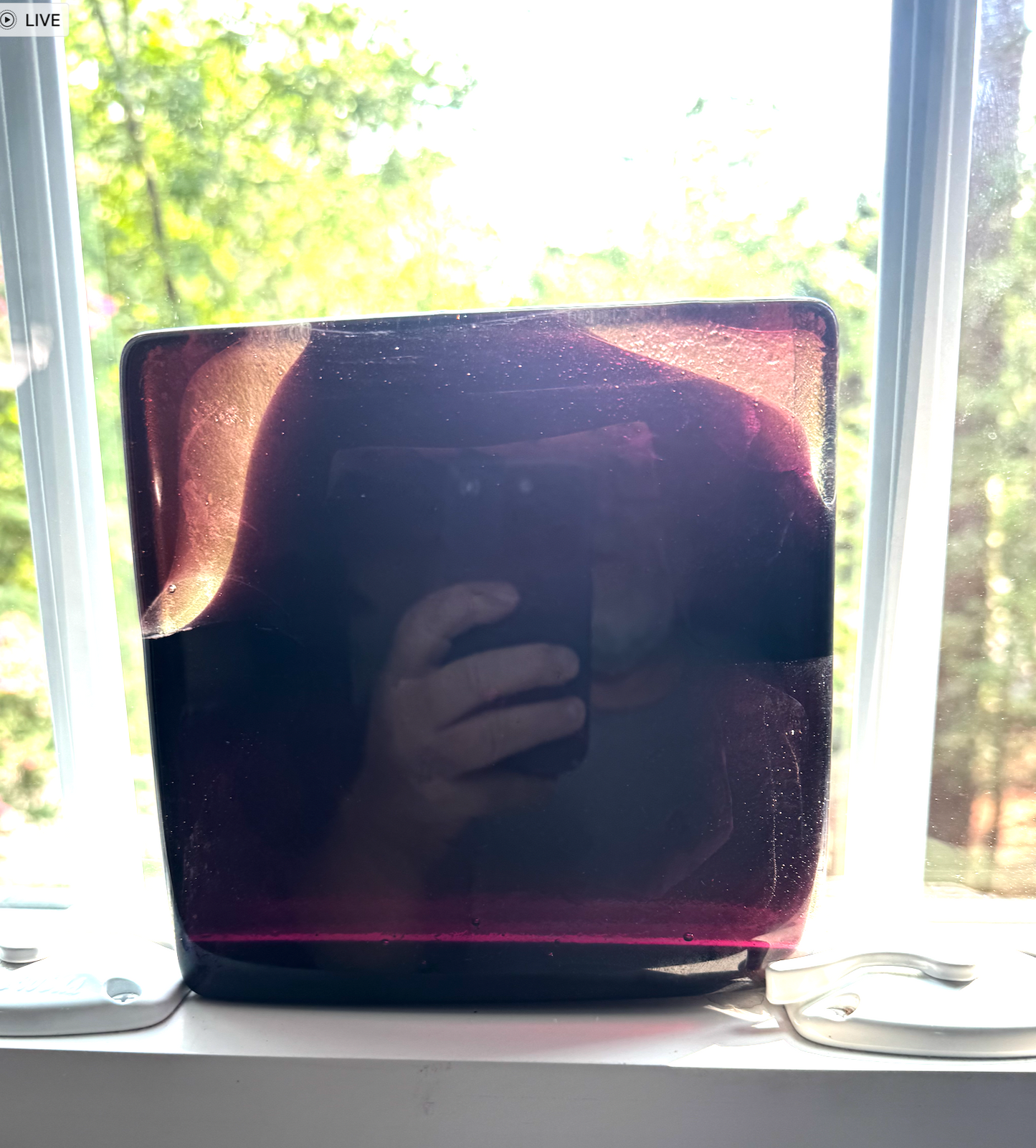 6 x 6 x 1/2 Inch Tile -Dark Burgundy in Clear (Just a hint of clear)