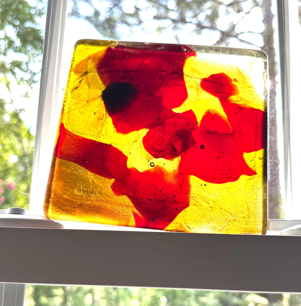 6 x 6 x 1/2 Inch Tile - Transparent Honey / Red in Clear