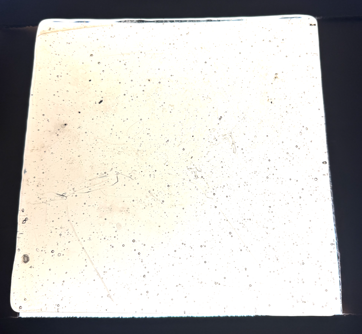Blenko Dalle de Verre (Pony Size 8 x 8) - Light Amber / Tan