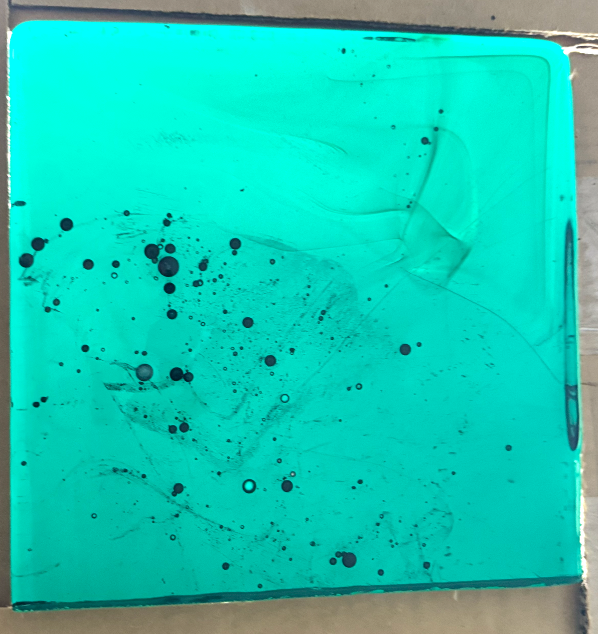 Blenko Dalle de Verre (Pony Size 8 x 8) - Dark Emerald Green