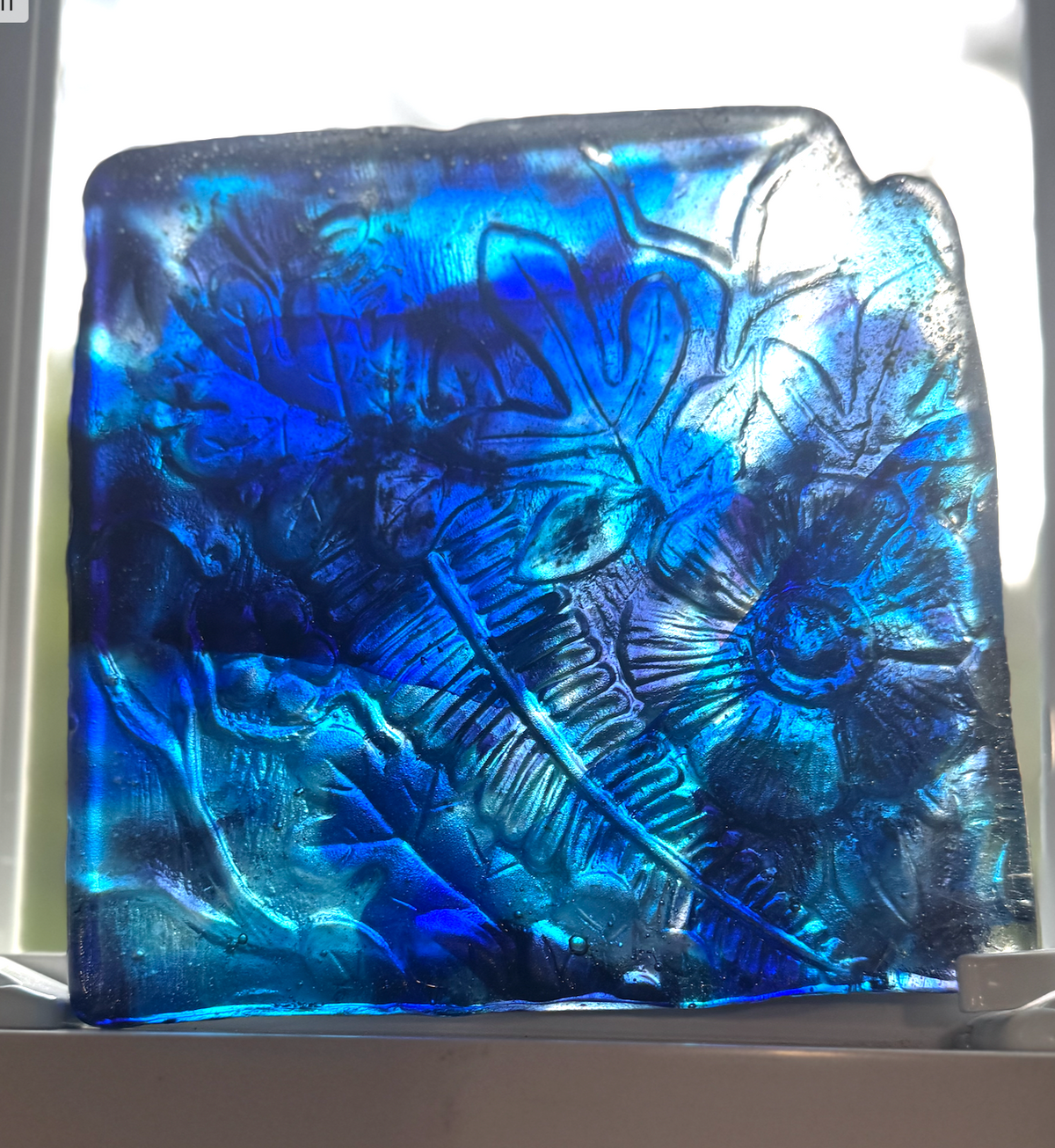 6 x 6 x 1/2 Inch Pressed Glass Tile - Cobalt, Medium Blue and Clear (Flowers and Leaves)